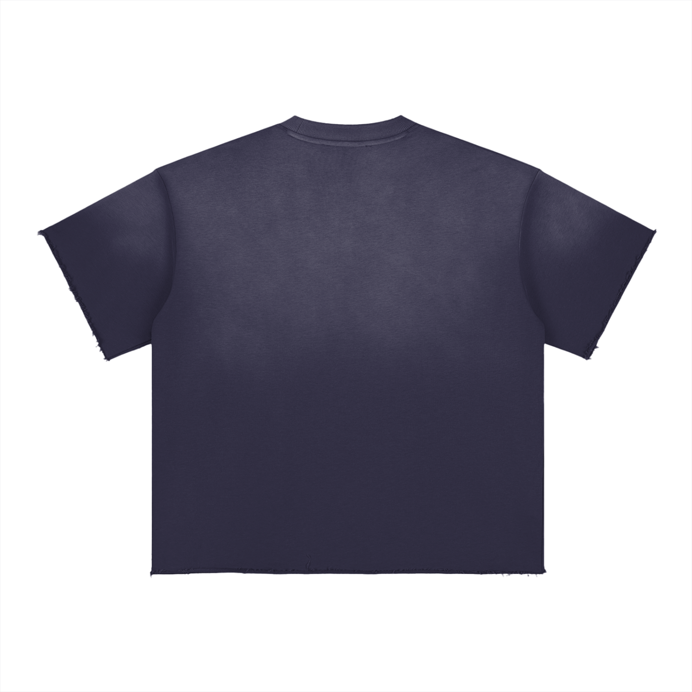 BX Sun Fade Raw Edge T-Shirt