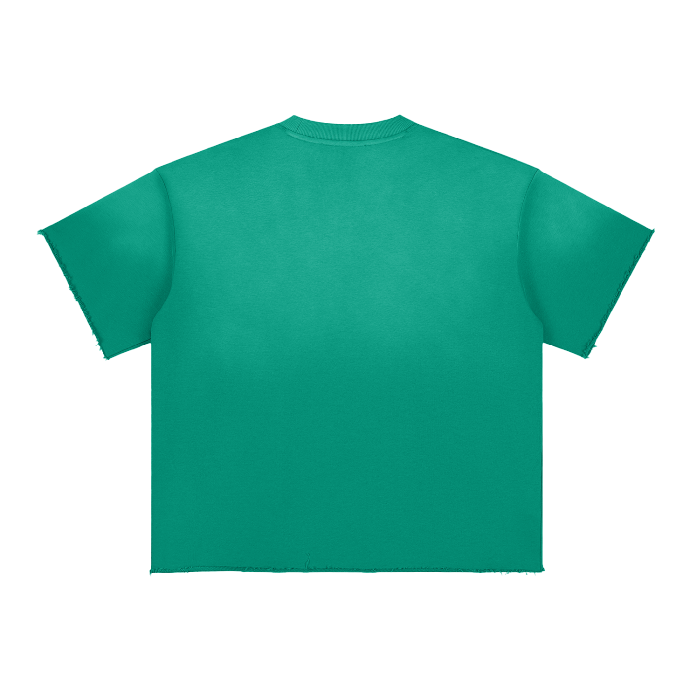 BX Sun Fade Raw Edge T-Shirt