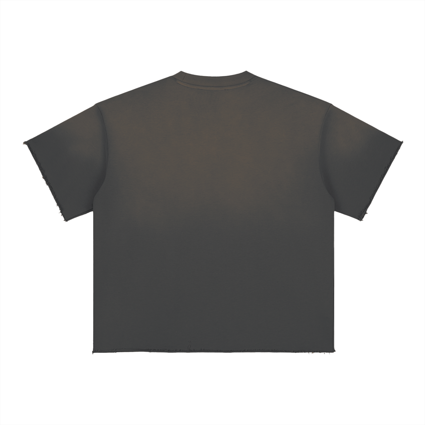BX Sun Fade Raw Edge T-Shirt