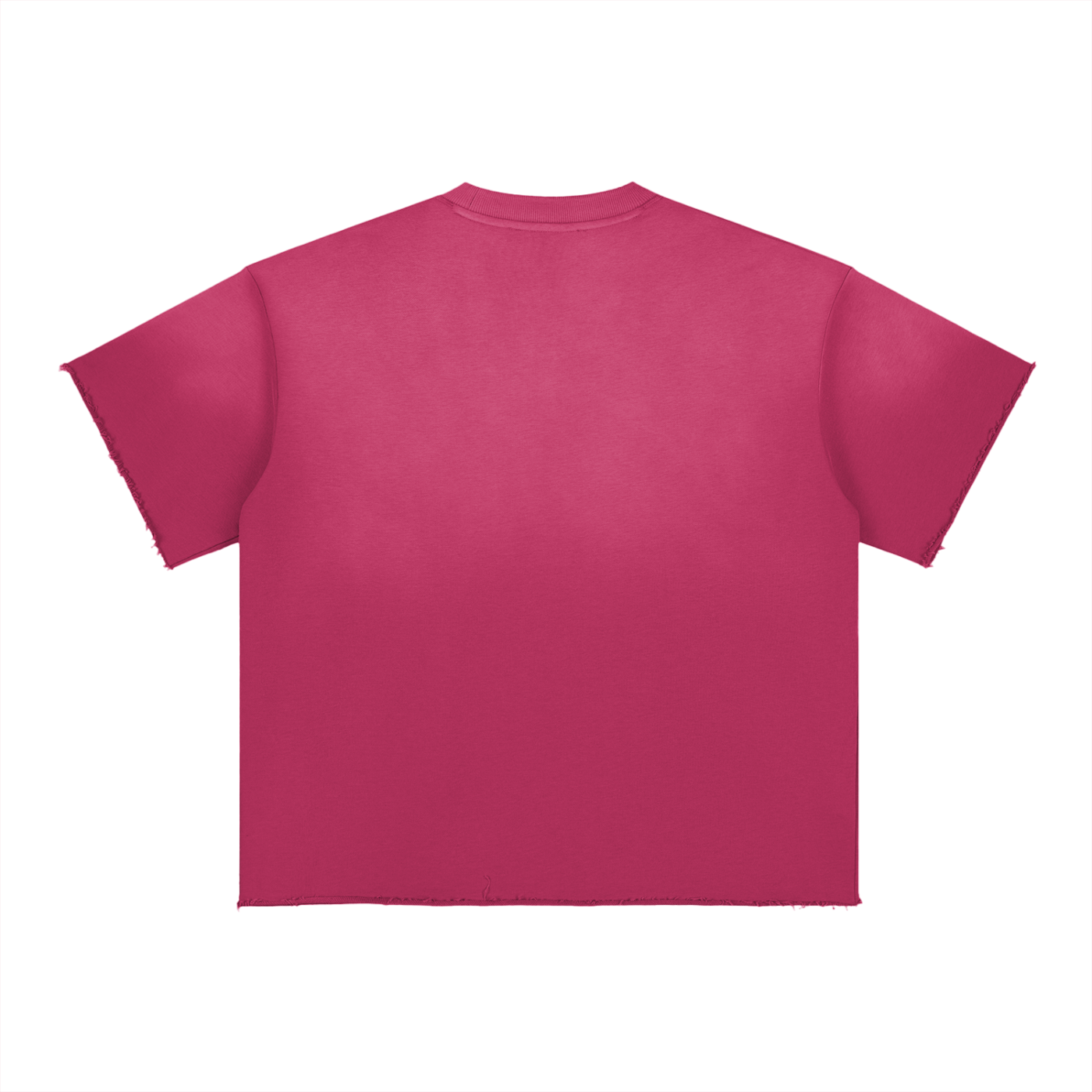 BX Sun Fade Raw Edge T-Shirt