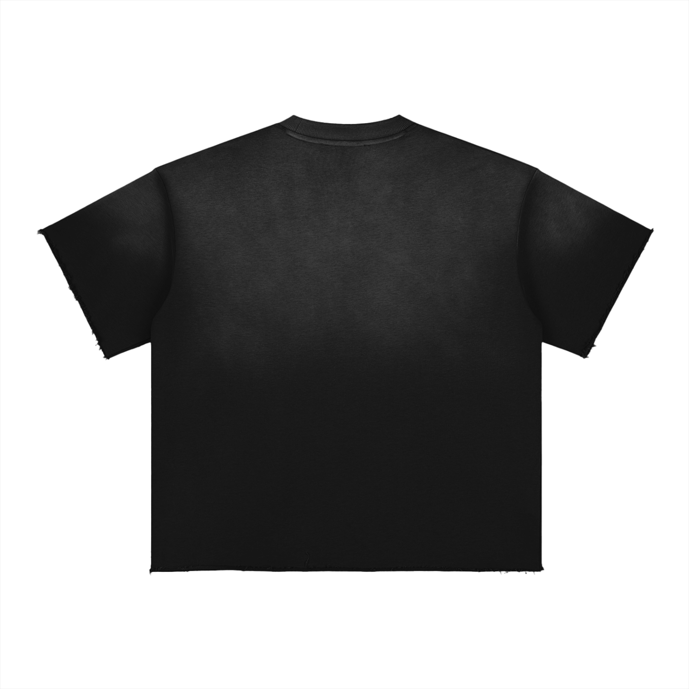 BX Sun Fade Raw Edge T-Shirt